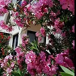 Myriama *