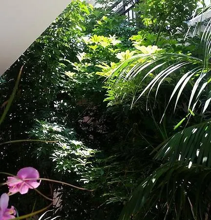 Apartament Myriama *