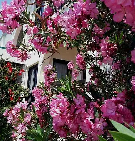 Myriama *