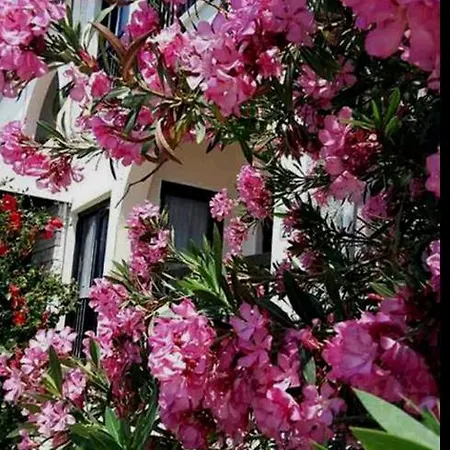 Myriama *