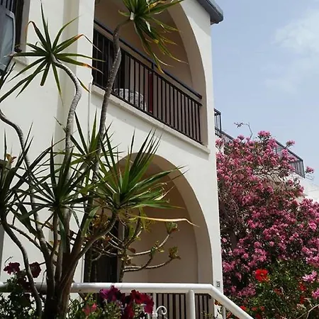 ماريما أيا نابا